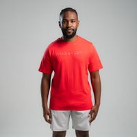 Polo Classics | Big Long Logo Tee | Hombre